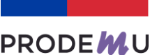 Soporte Tecnológico Fundación Prodemu